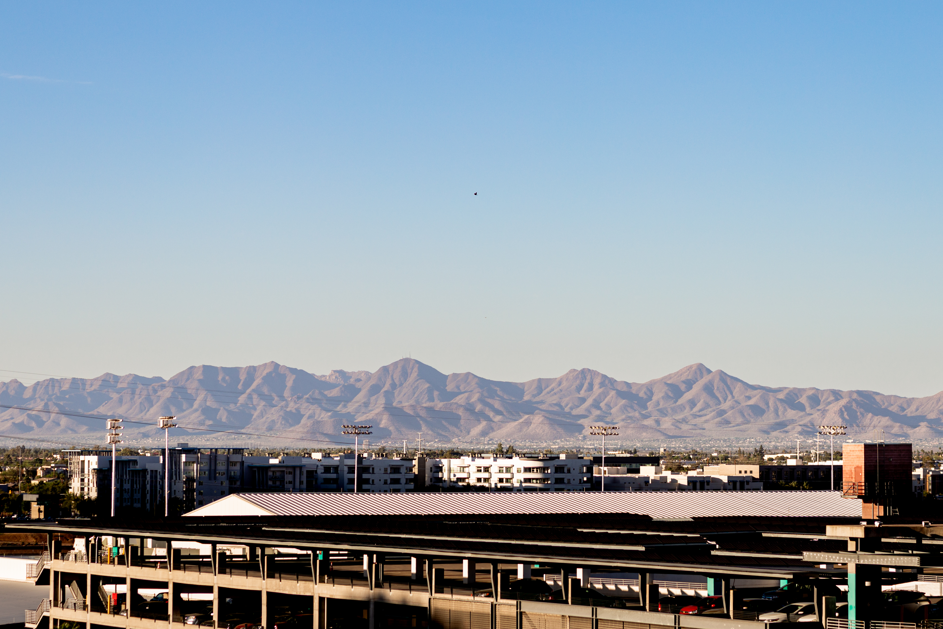 Tempe and Phoenix skyline at sunset